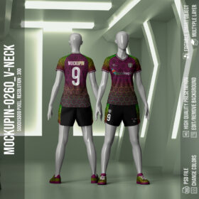 0260 Ladies V-Neck Raglan Jersey Mockup