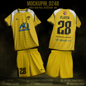 0248 Roundneck Raglan Jersey Mockup