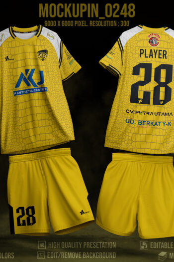 0248 Roundneck Raglan Jersey Mockup