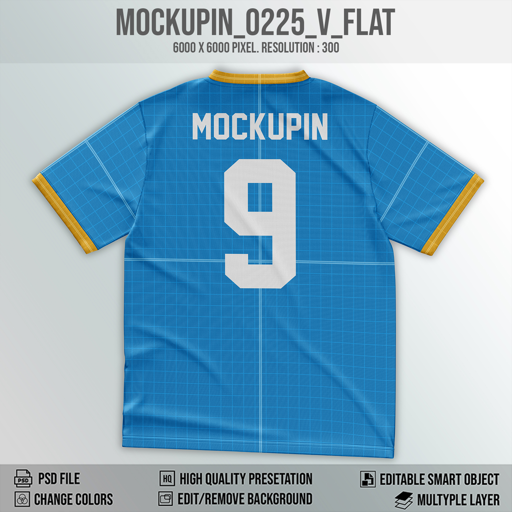 mockupin_0225_V_FLAT b