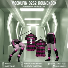 0262 Ladies Roundneck Raglan Jersey Mockup